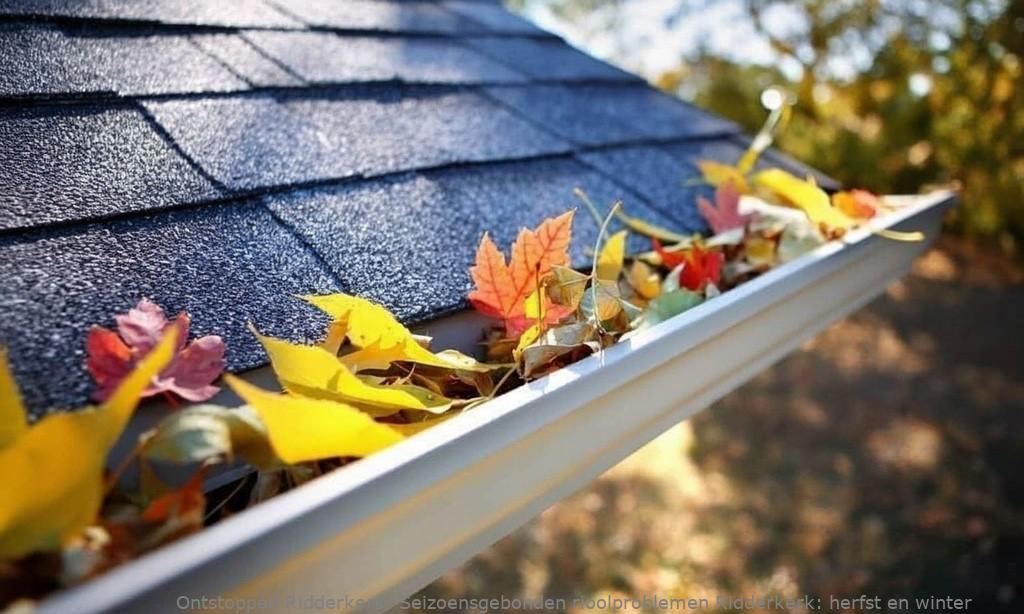 Seizoensgebonden rioolproblemen Ridderkerk: herfst en winter